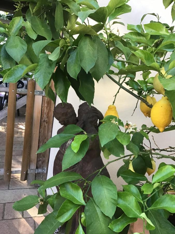 Ferienwohnung Lechraum In Waal Kültér fotó